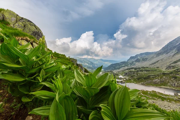 Berglandschaft und Gewitterwolken in den Siebenbürger Alpen — Stockfoto
