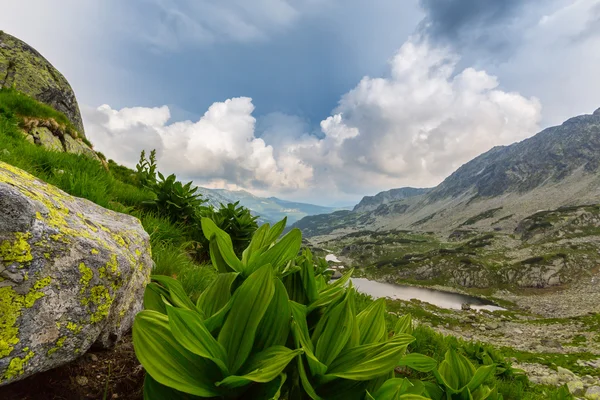 Berglandschaft und Gewitterwolken in den Siebenbürger Alpen — Stockfoto