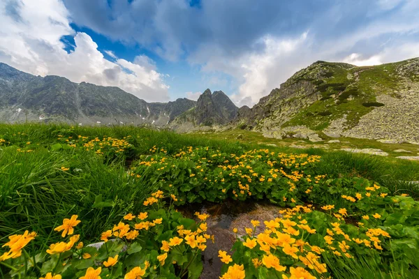 山上的景色和风暴云的特兰西瓦尼亚阿尔卑斯山 — 图库照片