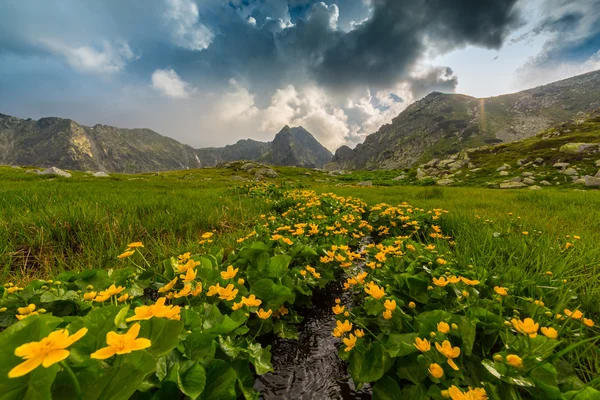 Гірські пейзажі і грозових хмар в Альпах трансільванських — стокове фото