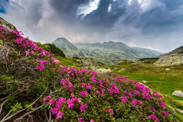 Berglandschaft und Gewitterwolken in den Siebenbürger Alpen — Stockfoto