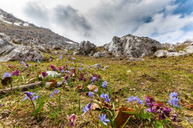Baharın başlarında Avrupa 'nın ücra bir bölgesinde geniş ufuklara ve yürüyüş yollarına sahip güzel bir dağ manzarası.