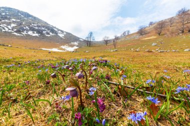 Baharın başlarında Avrupa 'nın ücra bir bölgesinde geniş ufuklara ve yürüyüş yollarına sahip güzel bir dağ manzarası.