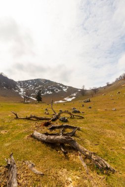 Baharın başlarında Avrupa 'nın ücra bir bölgesinde geniş ufuklara ve yürüyüş yollarına sahip güzel bir dağ manzarası.