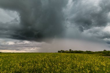 Yazın başlarında Doğu Avrupa 'da güzel kırsal alanlar dramatik fırtına altında.