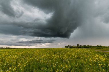 Yazın başlarında Doğu Avrupa 'da güzel kırsal alanlar dramatik fırtına altında.