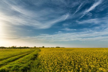 Yazın başlarında Doğu Avrupa 'da güzel kırsal alanlar dramatik fırtına altında.