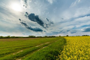 Yazın başlarında Doğu Avrupa 'da güzel kırsal alanlar dramatik fırtına altında.