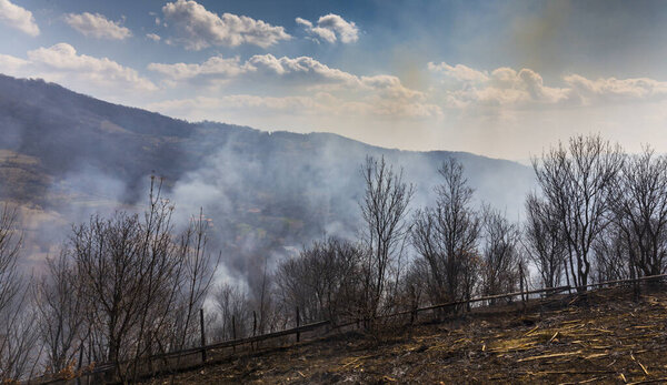 Wild fires, smoke and forest burning in a rural area in Europe