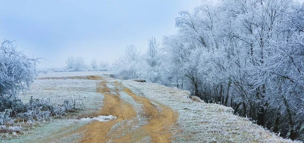 Winter Scenery Remote Rural Area Europe Frost Covered Fields Country — Stock Photo, Image