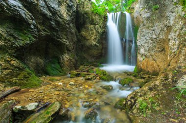 Dağ manzarası Transylvania'da