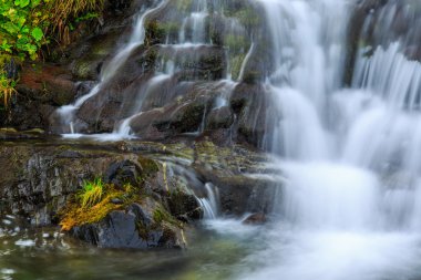 Dağ manzarası Transylvania'da