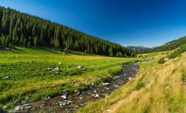 Dağ manzarası Transylvania'da