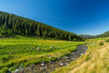 Transilvanya Alpleri'nde güzel dağ manzarası
