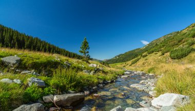 Dağ manzarası Transylvania'da