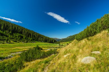 Transilvanya Alpleri'nde güzel dağ manzarası