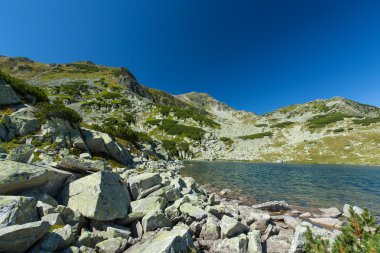Transilvanya Alpleri'nde güzel dağ manzarası