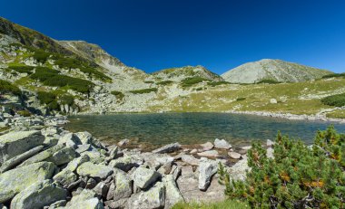 Transilvanya Alpleri'nde güzel dağ manzarası