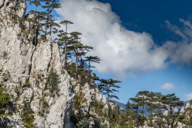 Transilvanya Alpleri sahne