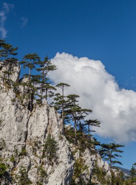 Transilvanya Alpleri sahne