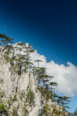 Transilvanya Alpleri sahne