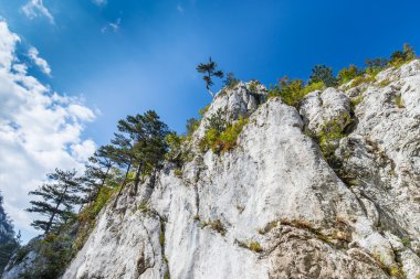 Transilvanya Alpleri sahne