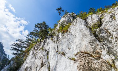 Transilvanya Alpleri sahne