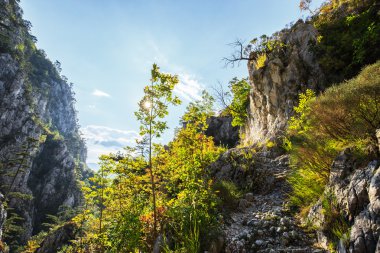 Transilvanya Alpleri sahne