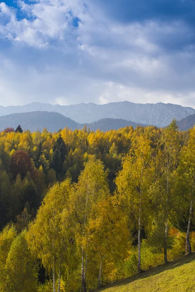 Horská krajina v Transylvánii — Stock fotografie