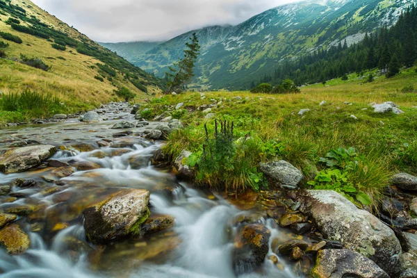 在特兰西瓦尼亚的山景 — 图库照片