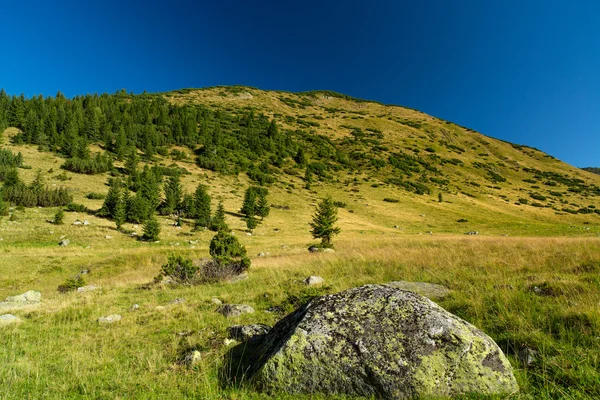Горный пейзаж Трансильвании — стоковое фото