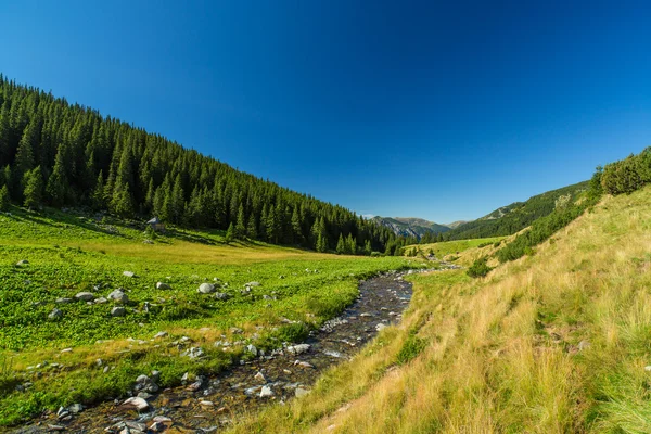 Hermoso paisaje de montaña en los Alpes transilvanos —  Fotos de Stock