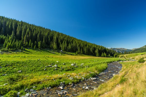 Berglandschaft in Transsilvanien — Stockfoto