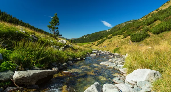 Mountain scenery in Transylvania — Stock Photo, Image