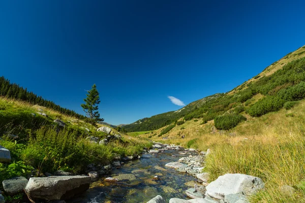 Beautiful mountain scenery in the Transylvanian Alps — Stock Photo, Image