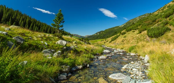 Beautiful mountain scenery in the Transylvanian Alps — Stock Photo, Image