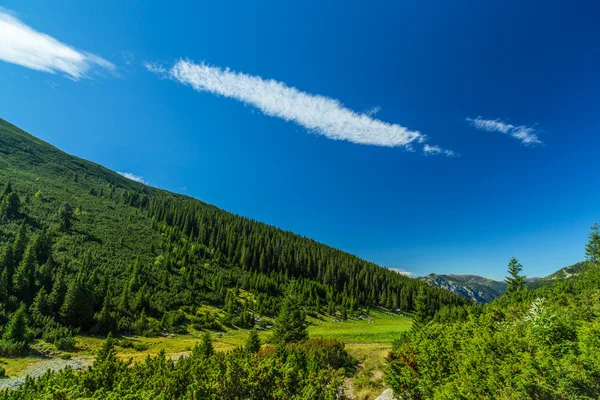 Transilvanya Alpleri'nde güzel dağ manzarası — Stok fotoğraf