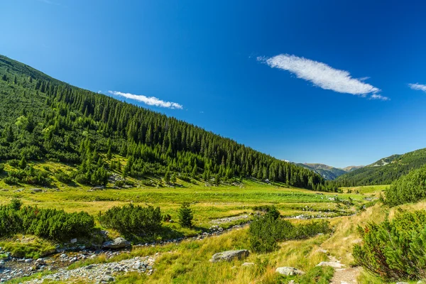 Bela paisagem montanhosa nos Alpes da Transilvânia — Fotografia de Stock