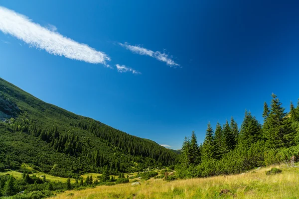 Hermoso paisaje de montaña en los Alpes transilvanos —  Fotos de Stock