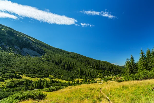 Beau paysage de montagne dans les Alpes de Transylvanie — Photo