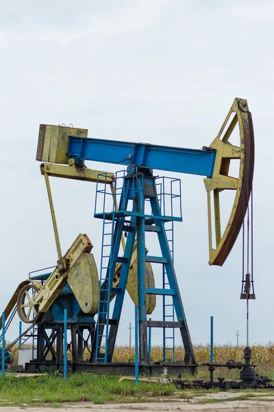 Petrol ve gaz de faaliyet