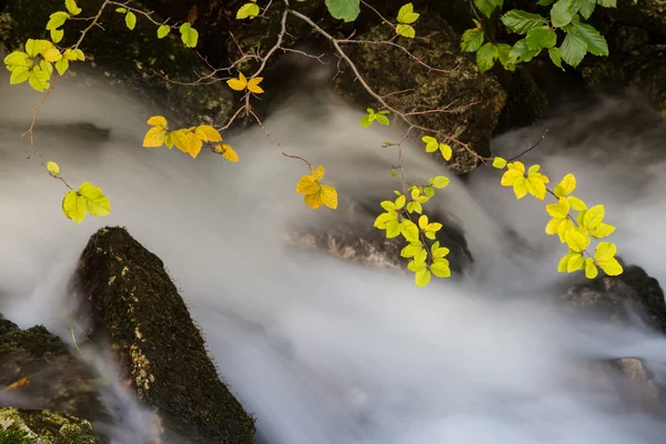 Paisaje en los Alpes transilvanos — Foto de Stock