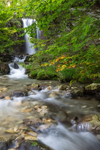 Feuillage d'automne et ruisseau coulant — Photo