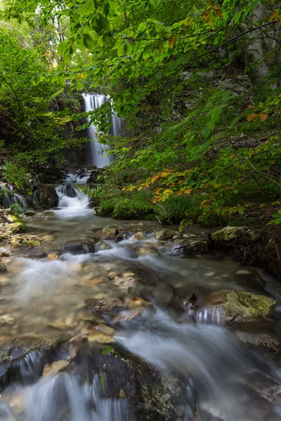 Autumn foliage and flowing stream — Stock Photo, Image