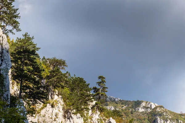 Cenário nos Alpes da Transilvânia — Fotografia de Stock