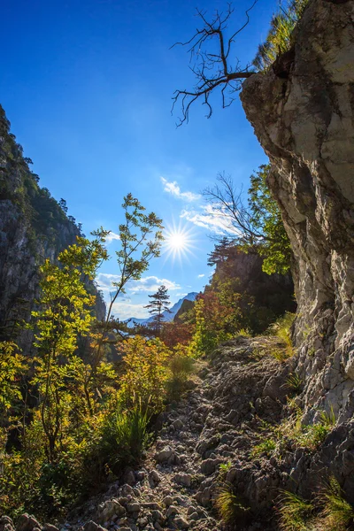 Пейзаж в Трансильванских Альпах — стоковое фото
