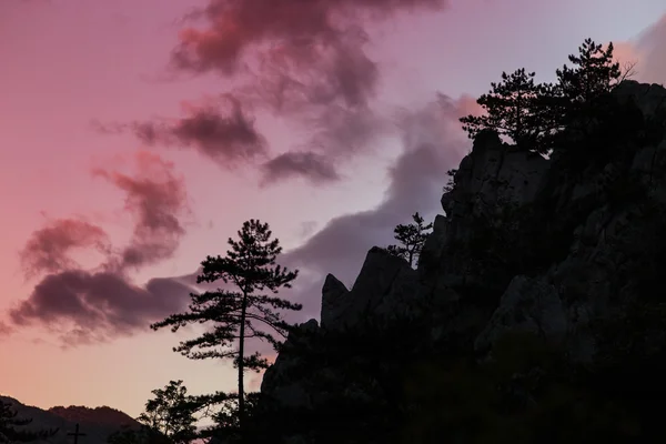 Paisagem de montanha com pinheiros negros, Pinus nigra — Fotografia de Stock