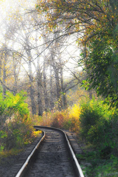 Ferrocarril escénico en otoño — Foto de Stock