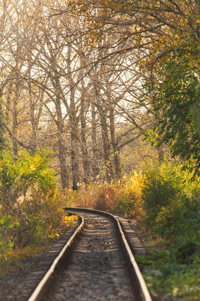 Ferrovia panoramica in autunno — Foto Stock