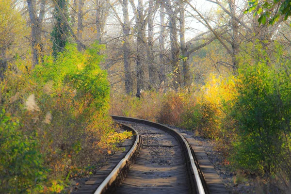 Chemin de fer panoramique en automne — Photo
